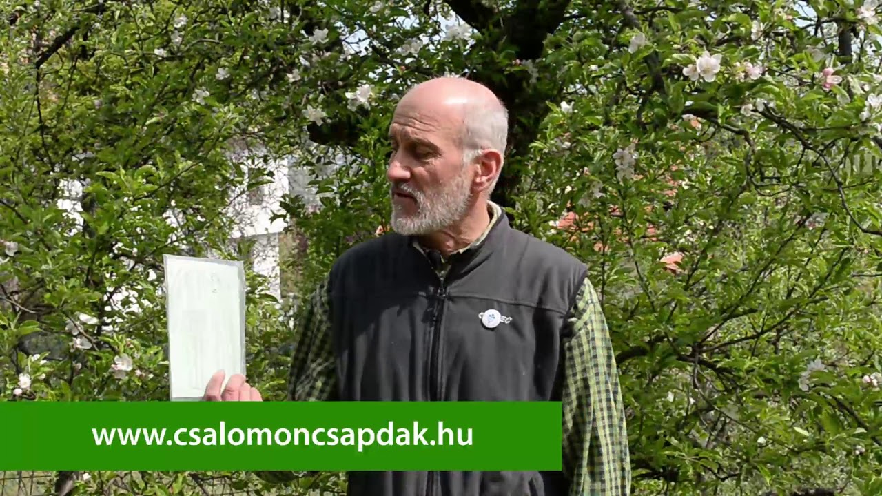 Előrejelzés a házikertben