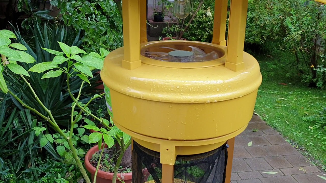 Fénycsapda a gyakorlatban