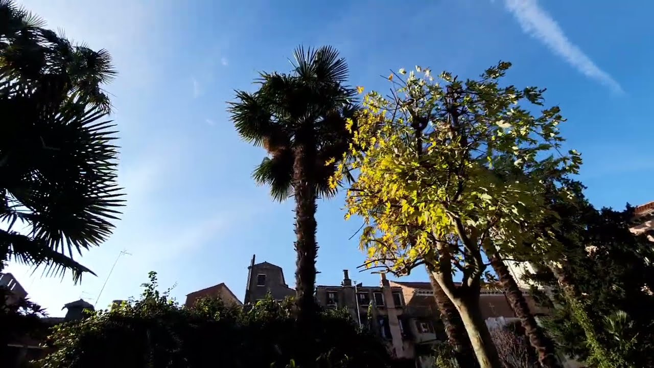 Szabadságon a növényorvos