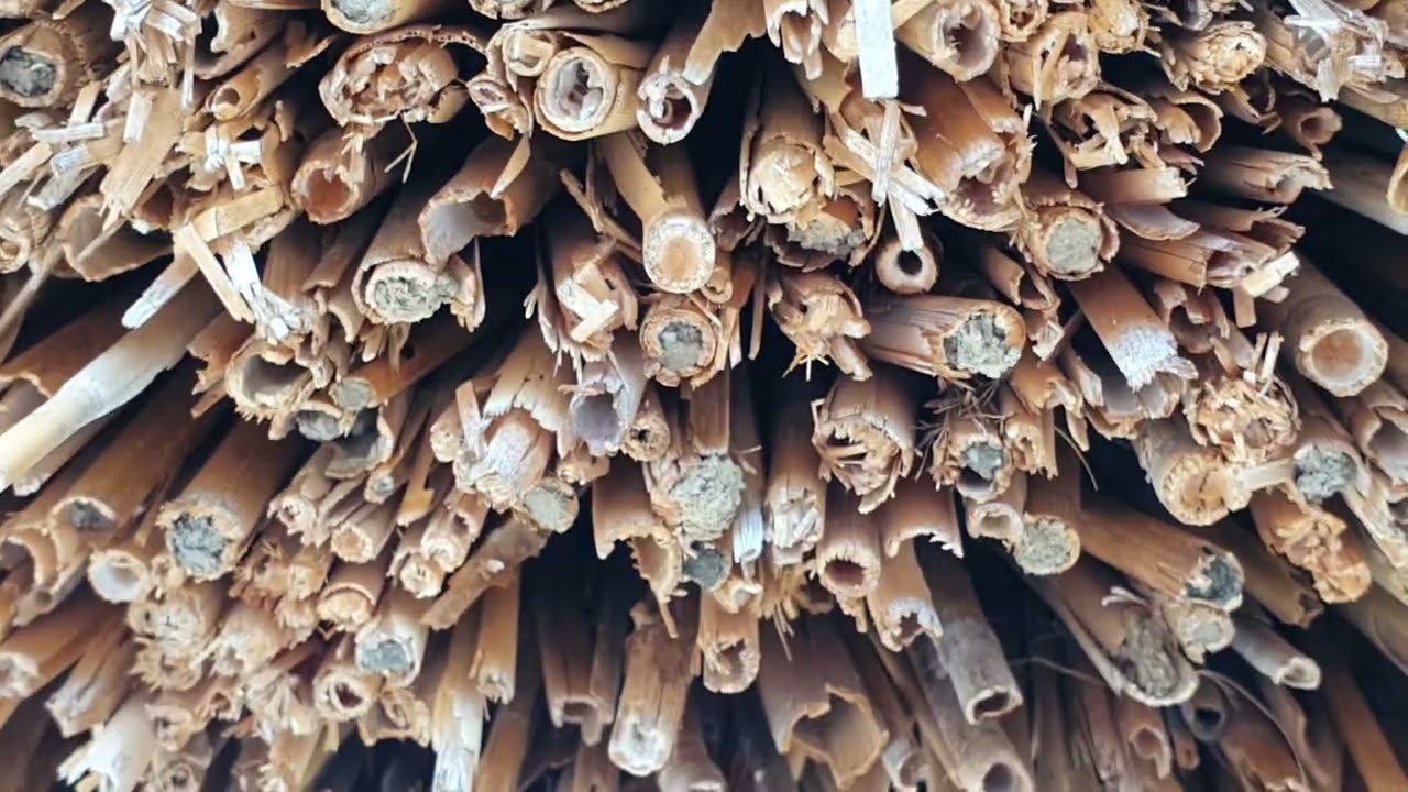 Működő rovarhotel