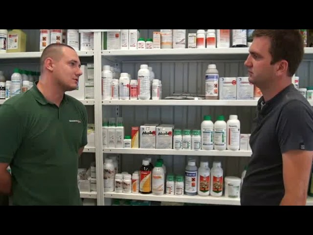 Júliusi növényvédelmi előrejelzés