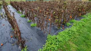 Permetezés nélkül nem megy