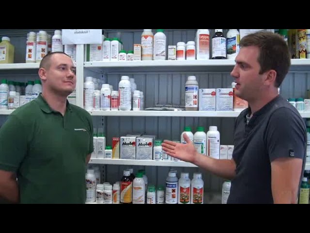 Védekezés hernyók ellen