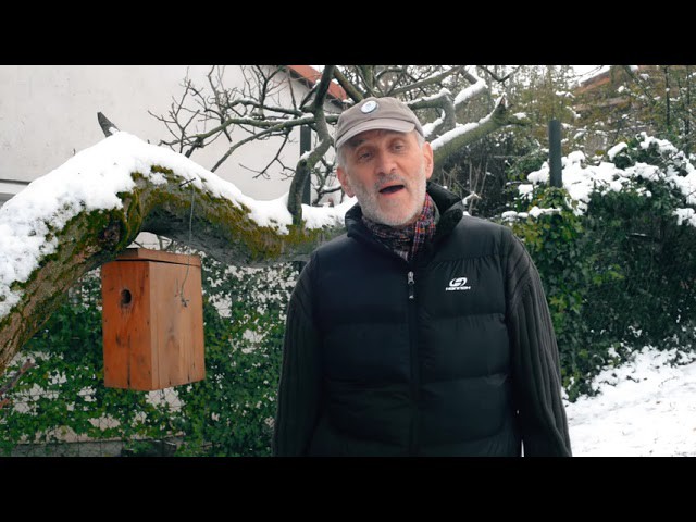 Kerti madaraink téli gondozása