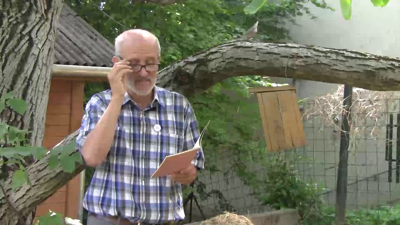 Kiskerti növényvédelem: madarak