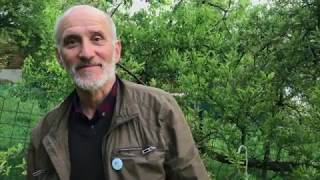 Kiskerti növényvédelem: Alma