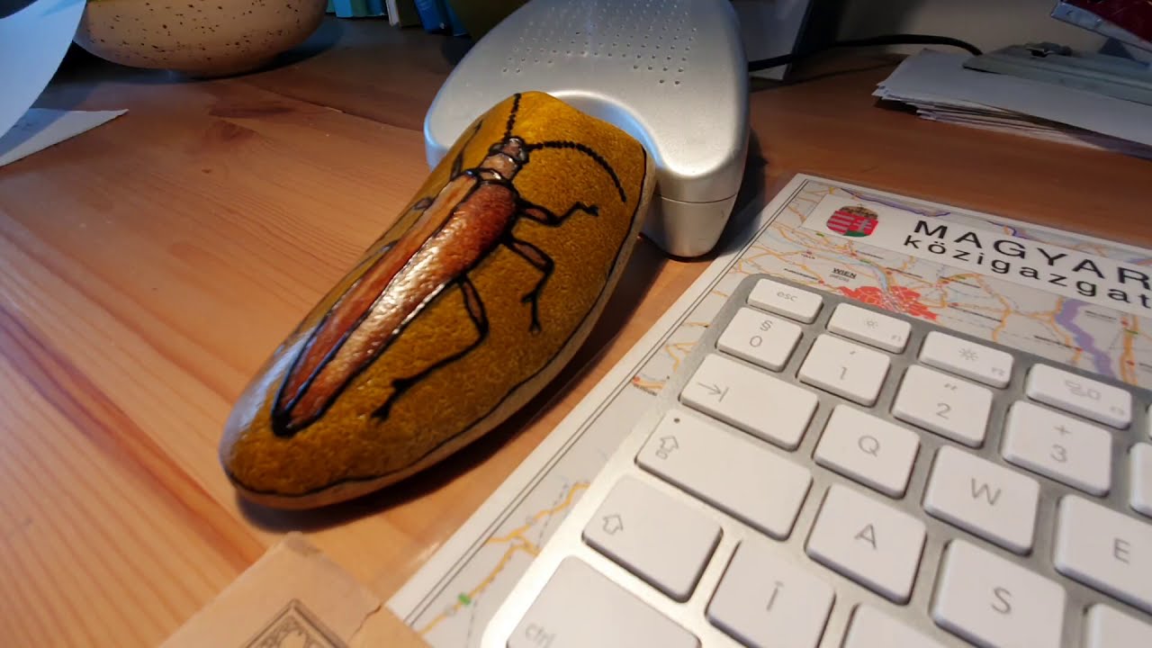 Online szerjegyzékek