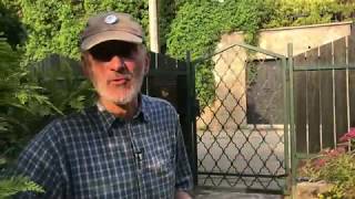 Kiskerti növényvédelem: inváziós gyomnövények: keserűfű, citromfű