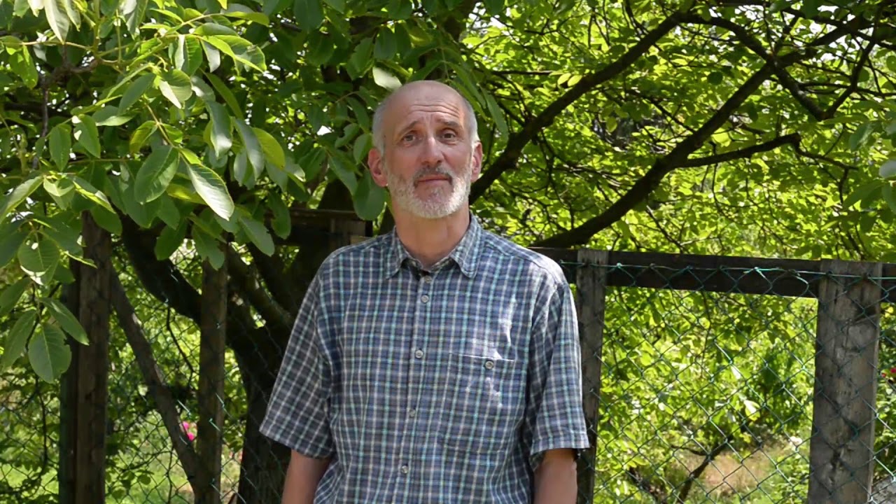 Vigyázzunk a diófákra!