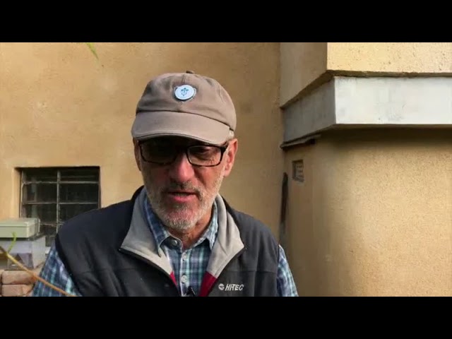 Kiskerti növényvédelem: A szőlő