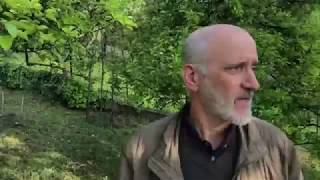 Kiskerti növényvédelem: Kajszibarack