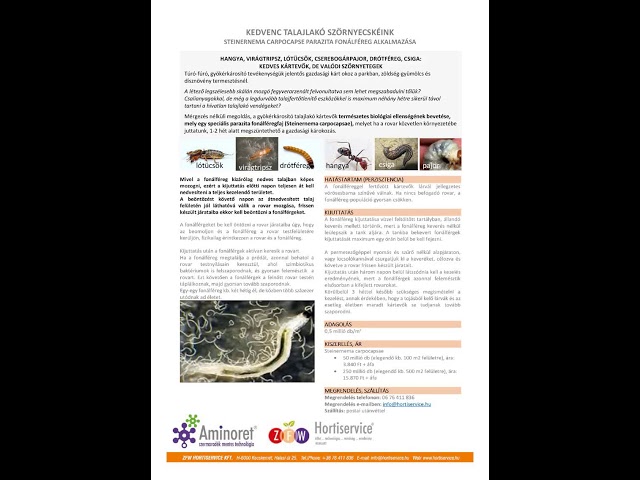 KEDVENC TALAJLAKÓ SZÖRNYECSKÉINK