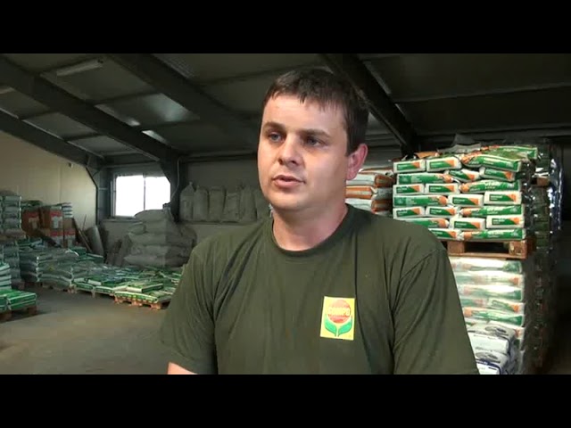 Hogyan válasszunk fűmagot