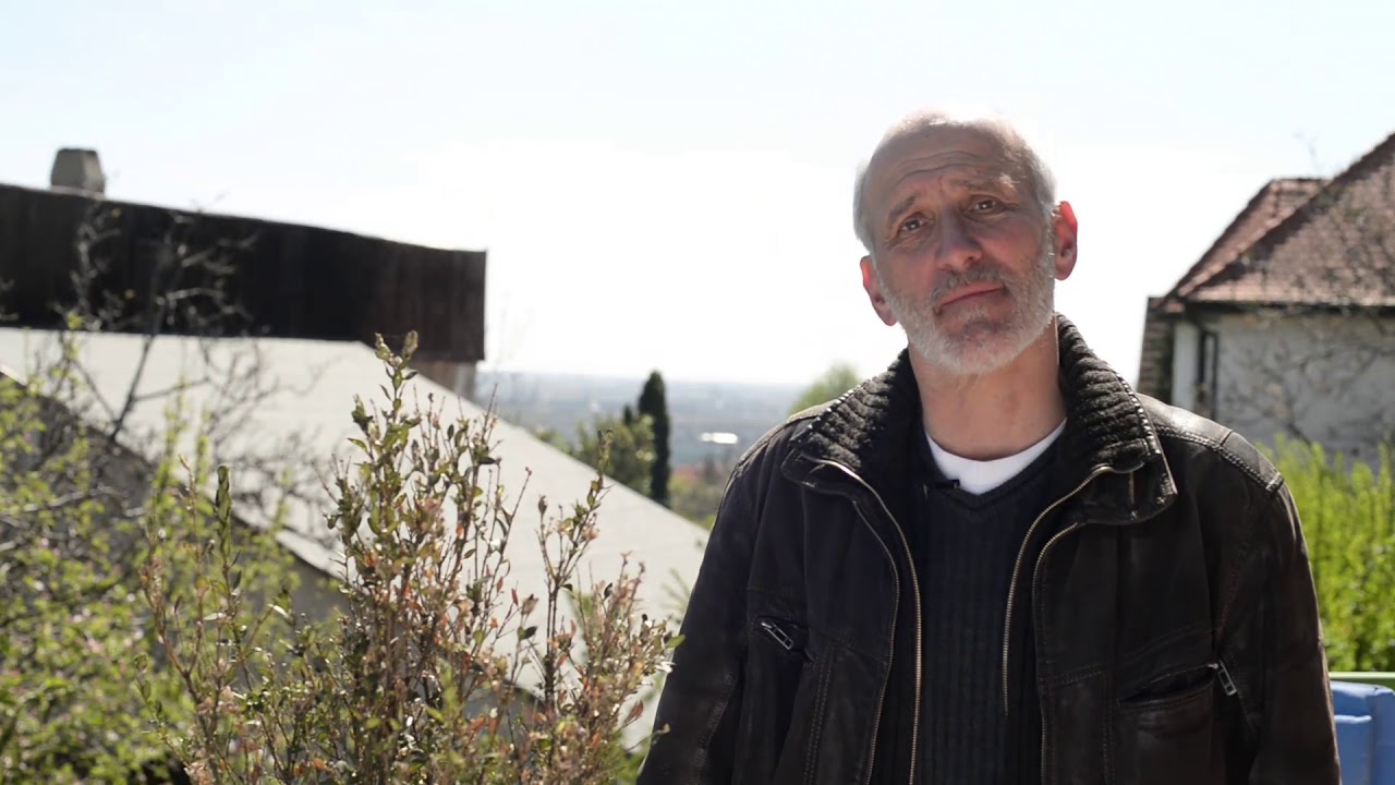 Zsigó György - Selyemfényű puszpángmoly a buxusokban