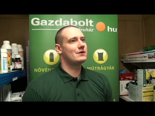 Meggy és a cseresznye metszése