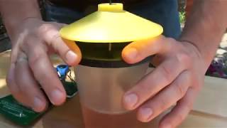 Darazsak elleni védekezés lehetőségei