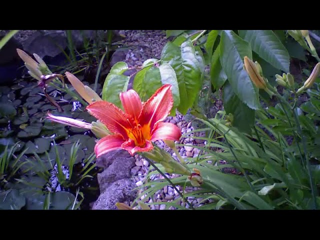 Első timelaps videónk