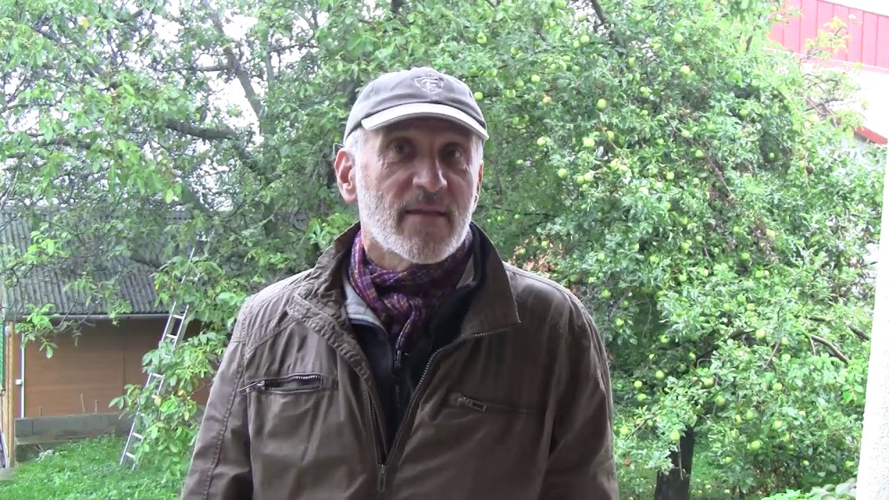 A 2017-es év előrejelzés értékelése