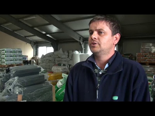 Szabadföldi dísznövények teleltetése