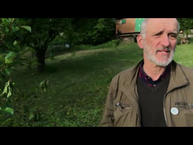 Kiskerti növényvédelem: Meggy, Cseresznye