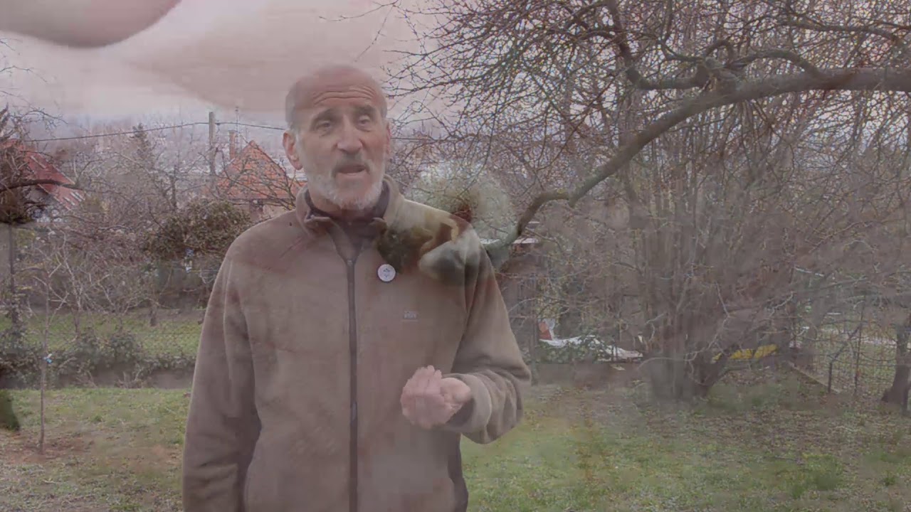 Facsemeték talajlakó kártevők elleni talajfertőtlenítés