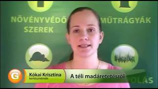 Madáretetés elmélete és gyakorlata