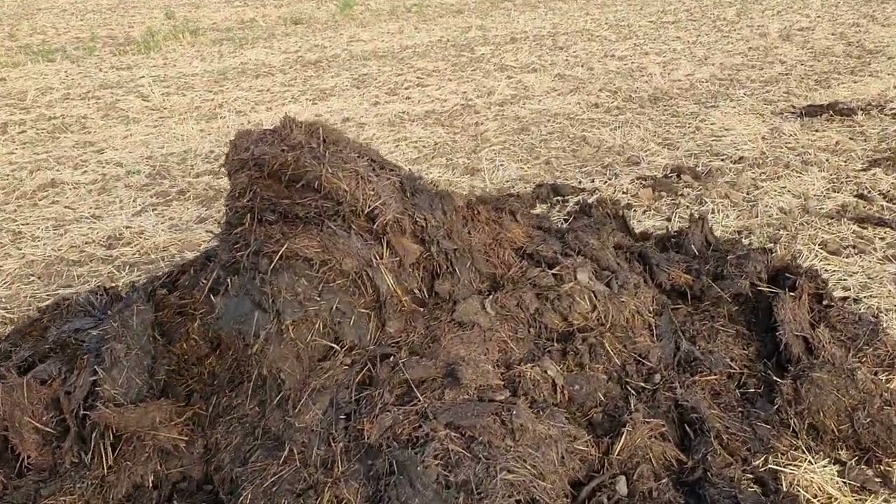 Ne feledkezzünk meg a szervestrágyákról