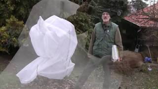 A fagyérzékeny növényeink védelme a kertben és a balkonon