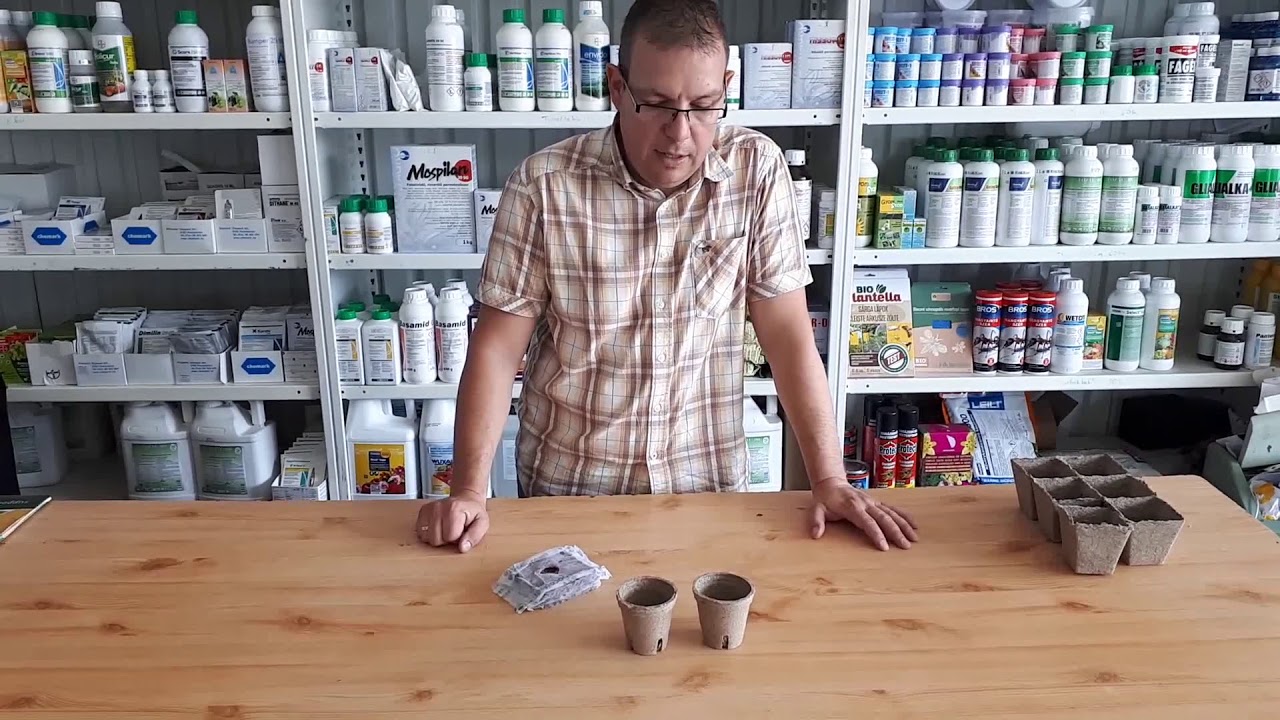 Palántanevelő edények természetes, lebomló anyagból