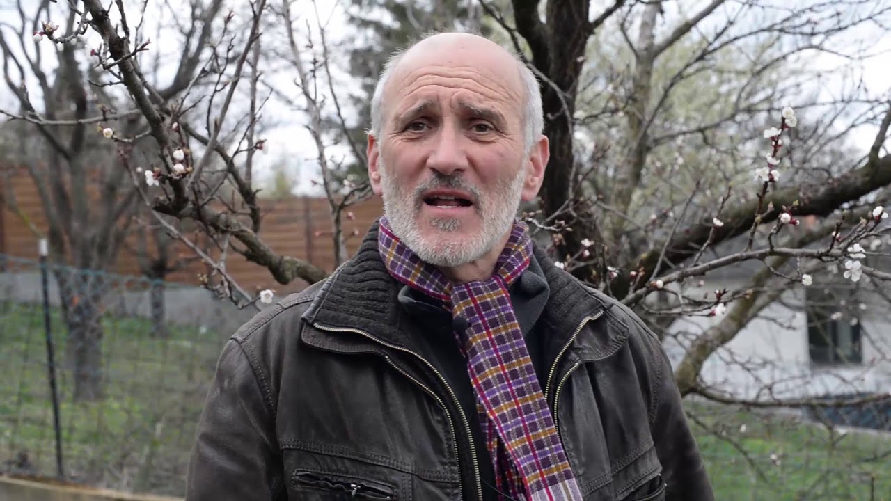 Zsigó György - a virágfertőzött monilia