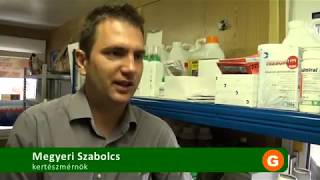 Meztelencsigák elleni védekezés