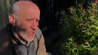 Kiskerti növényvédelem: Gyomnövények a fűszerkertben