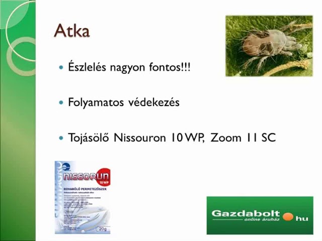 Gazdabolt.hu prezentáció a növényvédelemről