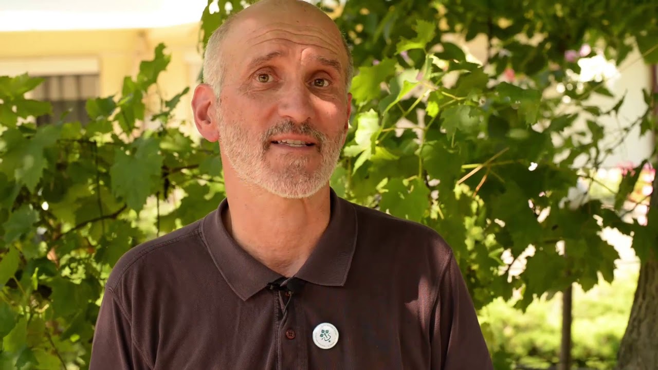 Zsigó György - Szőlő lisztharmat 2015/II