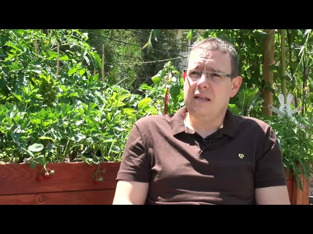 SumiAgro gombaölő szer ajánlata Kertbarátoknak