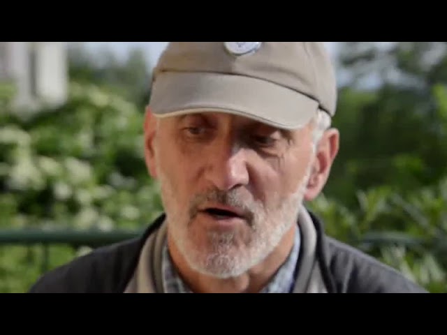 Kiskerti növényvédelem: A pókhálós szilvamoly kísérlet eredménye