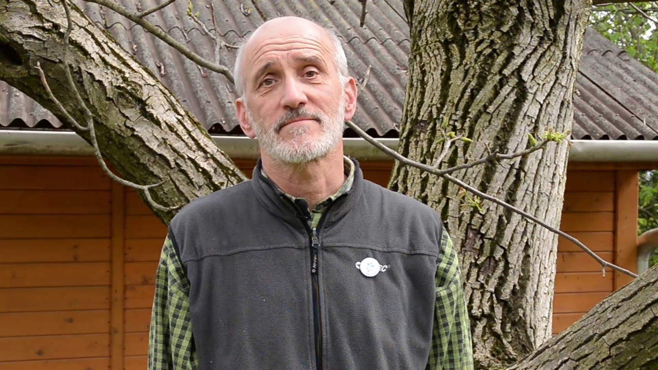 A szőlő és a dió atkakártevői