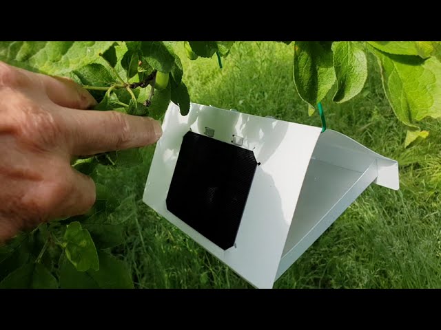 Mikor leghatékonyabb a permetezés?