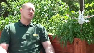 Kártevő rovarok a kertben? MOSPILAN a megoldás