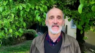 Kiskerti növényvédelem: Körte