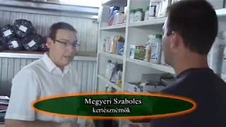 Actara levéltetű ellen beöntözéses technológiával