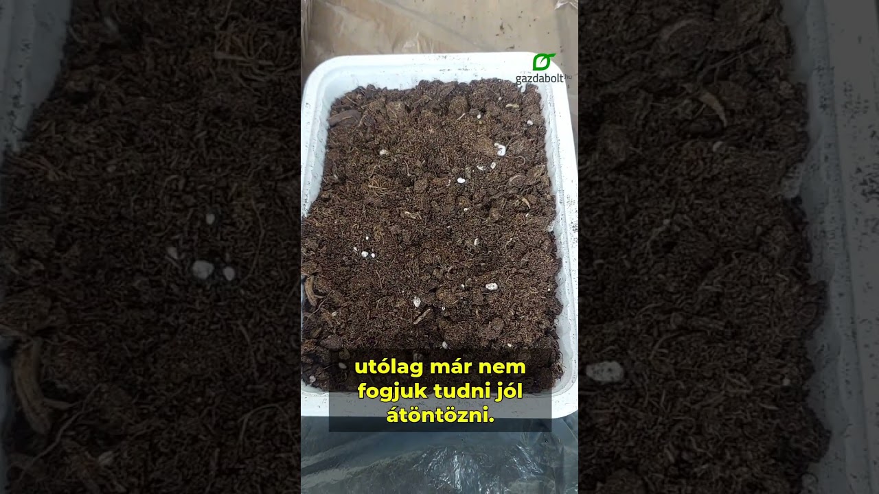 Palántanevelés otthon – minisorozat 3. rész: A közeg