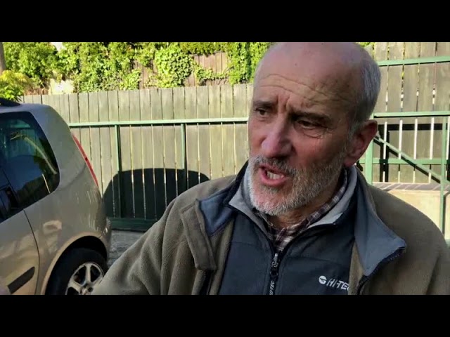 Kiskerti növényvédelem: A füge