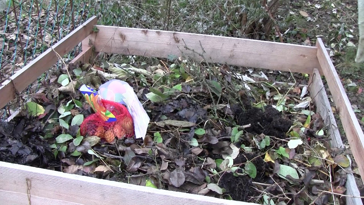 Hogyan bomlanak el a beteg növényi maradványok a komposztrakásban?