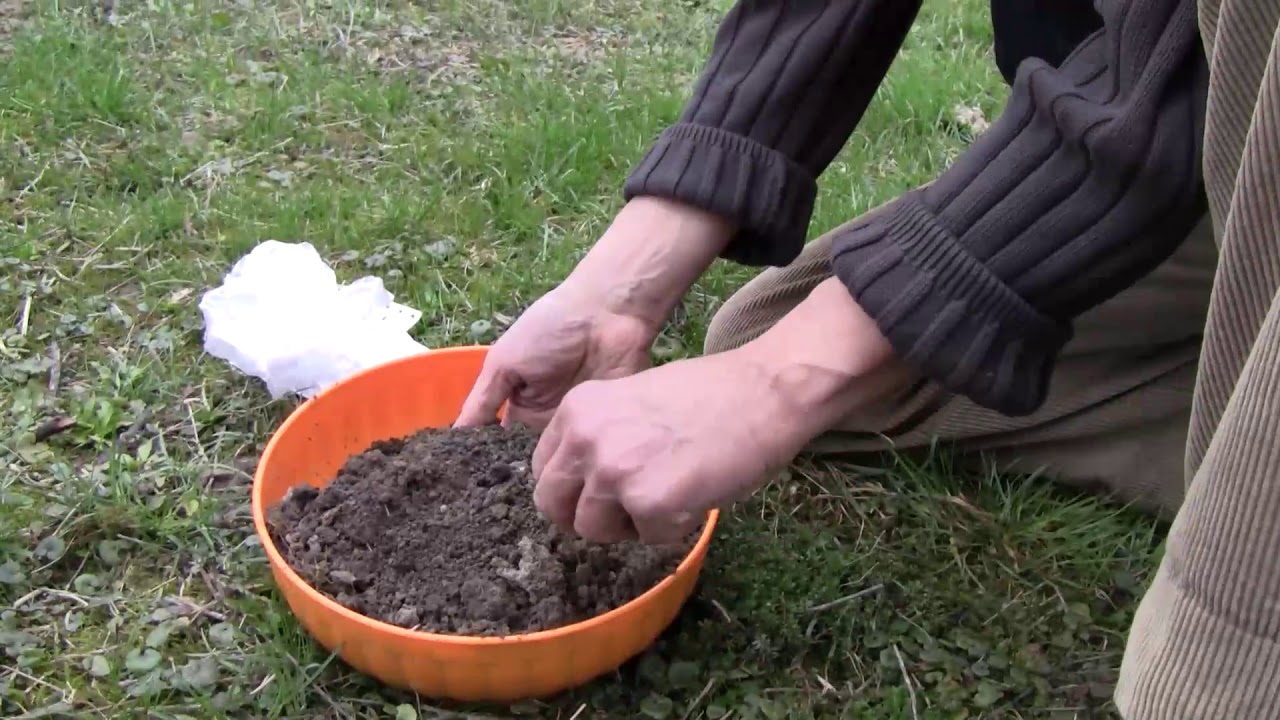 A talajmintavétel jelentősége és gyakorlata