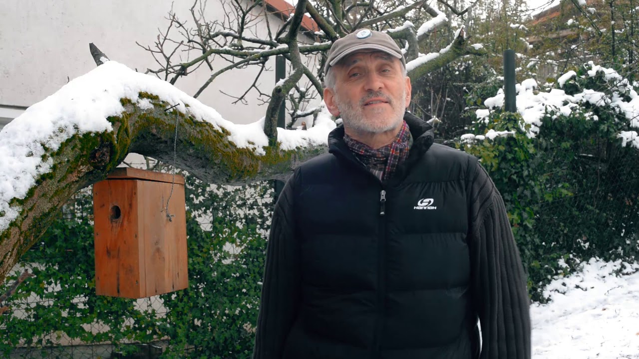 Kerti madaraink téli gondozása