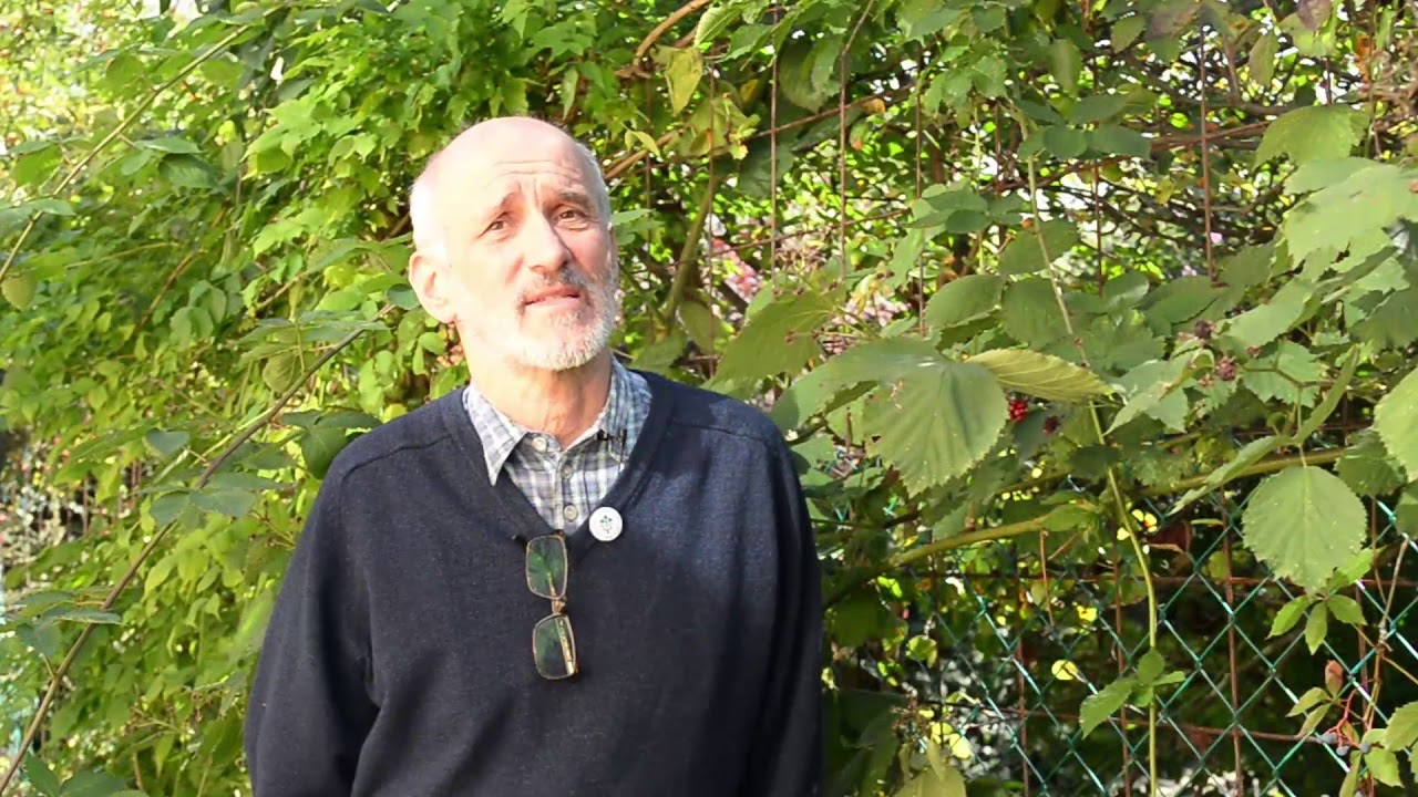 A szürkepenész áttelelése (és a védekezés lehetőségei)