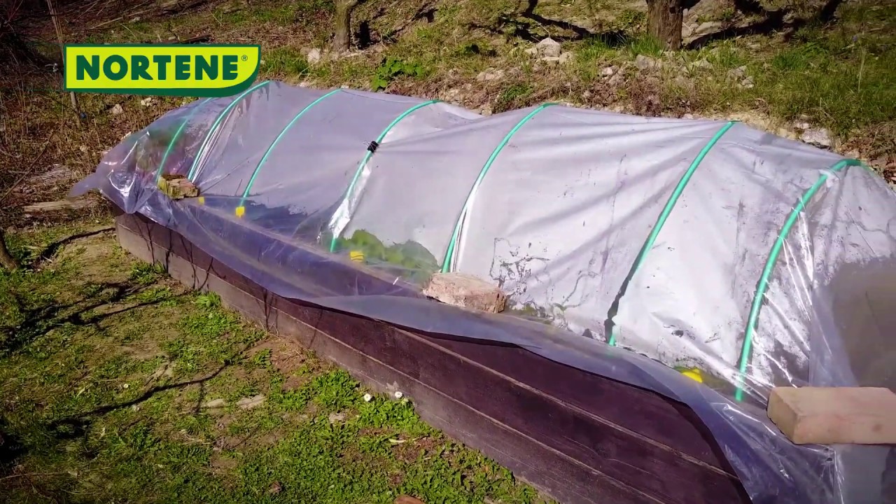 Nortene tavaszi termék ajánlat