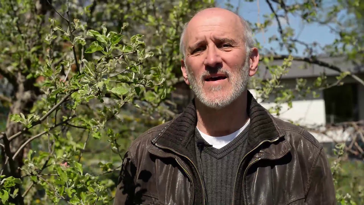 Zsigó György - rovarkártevők megjelenése