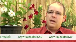 Új sms értesítés a kiszállítás időpontjáról